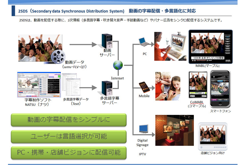 2SDSイメージ図